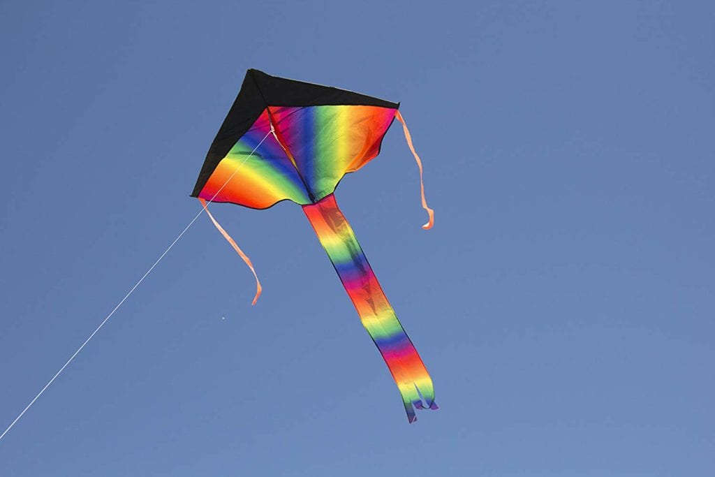 kite review for a perfect entry level kite for people of all ages