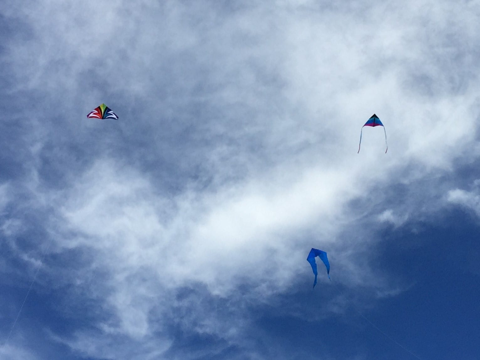 flying kites at kite festival