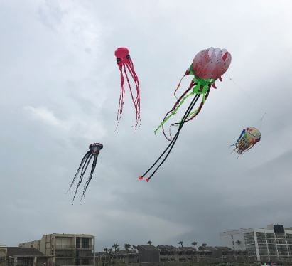 Flying Kites in South Padre Island