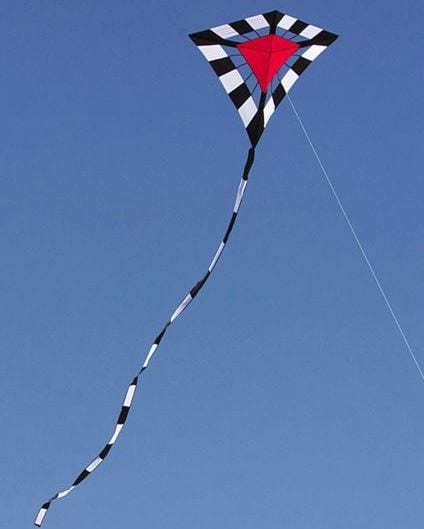 Flying Kites is Fun!