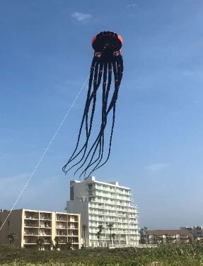 75 foot long octopus kite