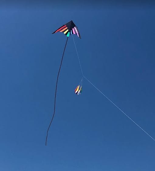 best flying kites big delta