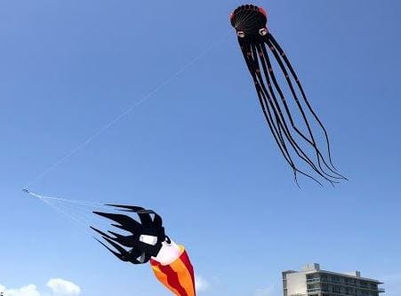 Huge Flying Kites