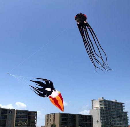Huge Flying Kite Octopus and Squid