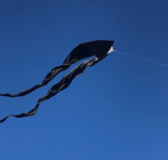 Giant Ghost Delta Kite