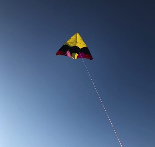 Gorgeous Kite The Backyard Flyers