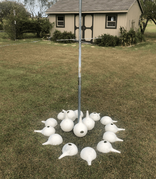 cleaned up purple martin houses