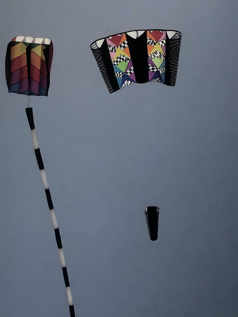 beach kites