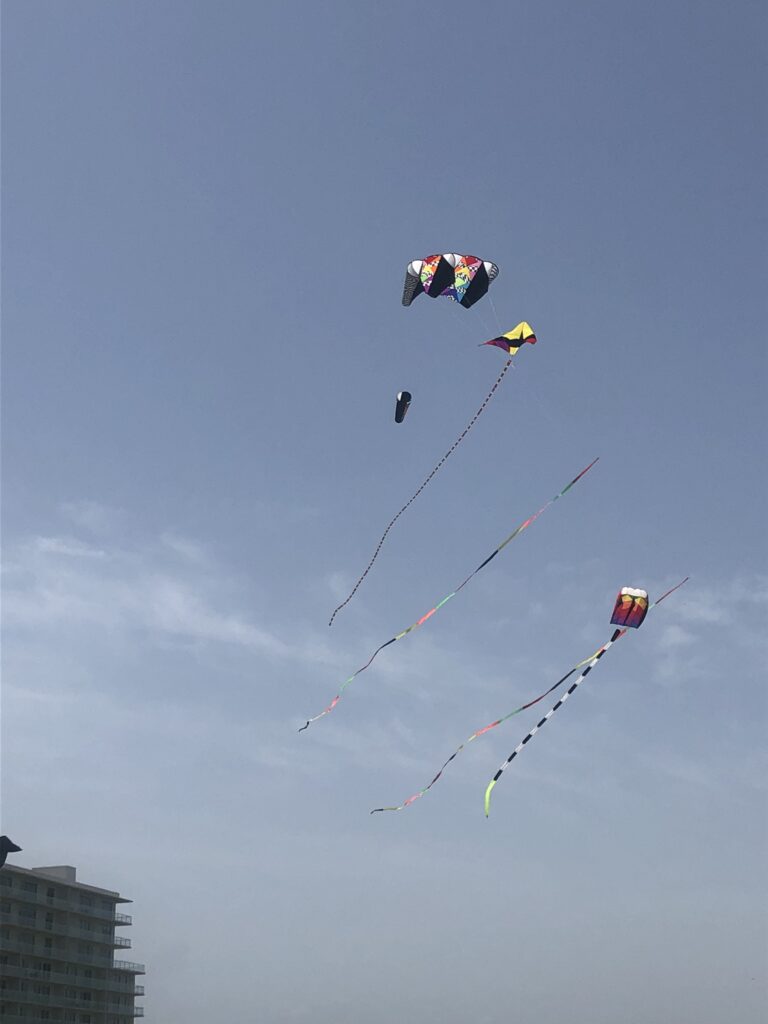 a few of the best beach kites