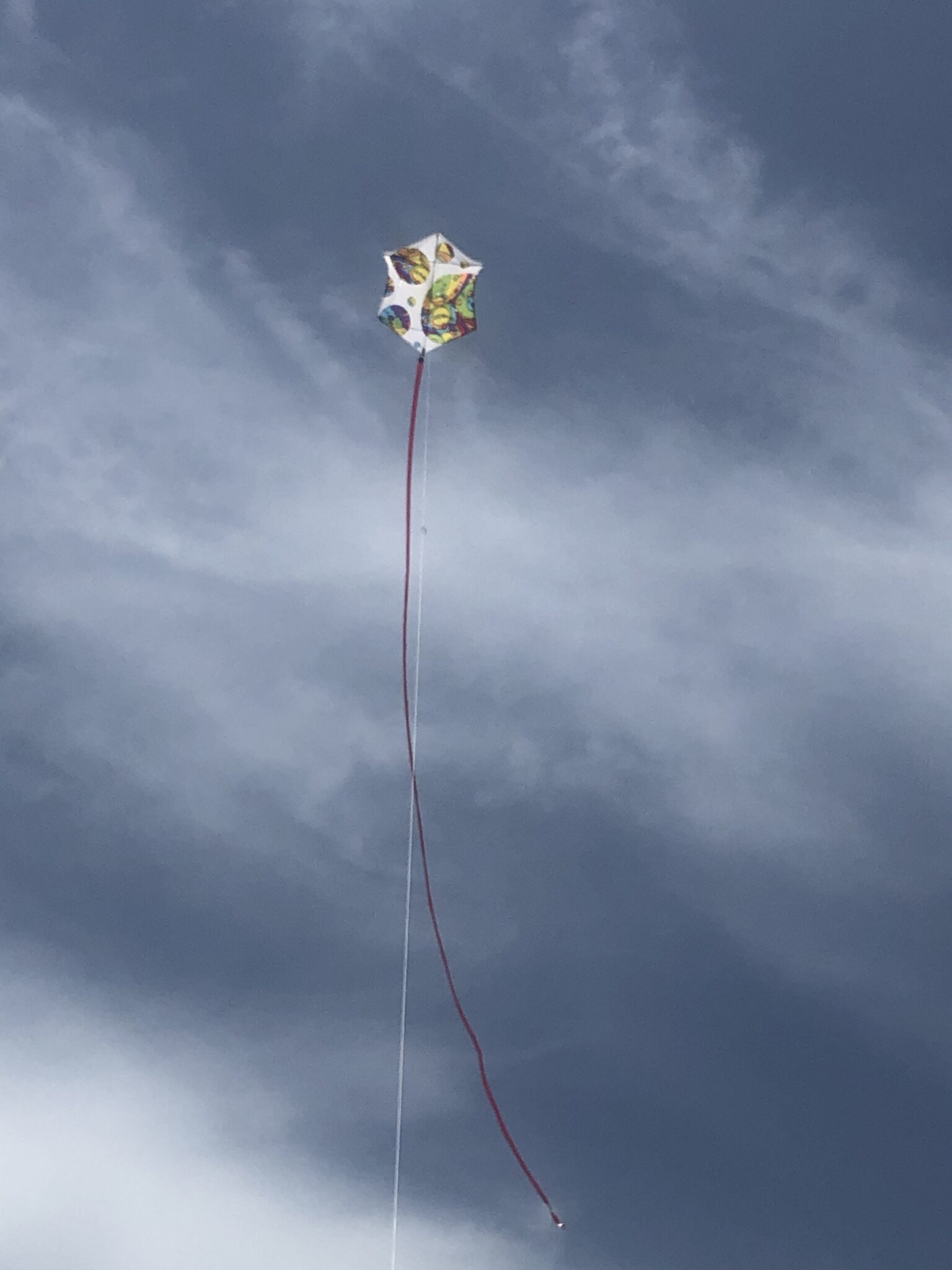 flying a new rokkaku kite